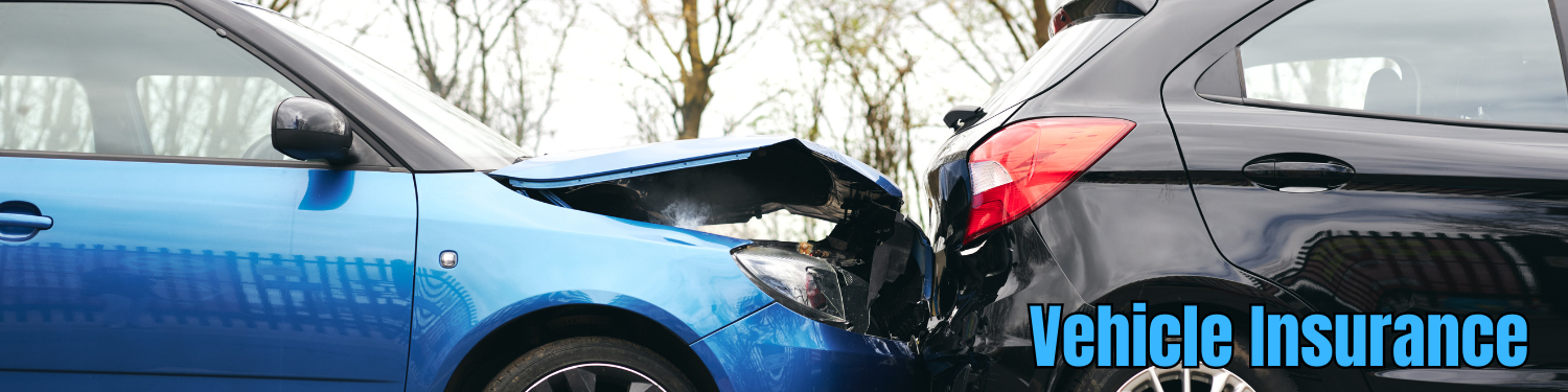Section 9-4: Vehicle Insurance Banner